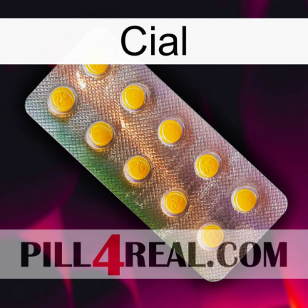 Cial new11